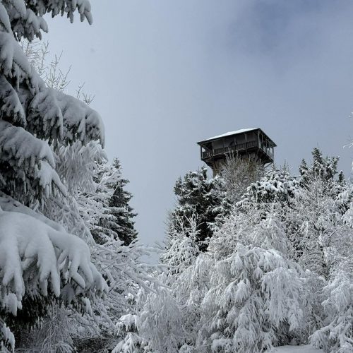 631500938_774509265710174_653730901691778365_n — kopia